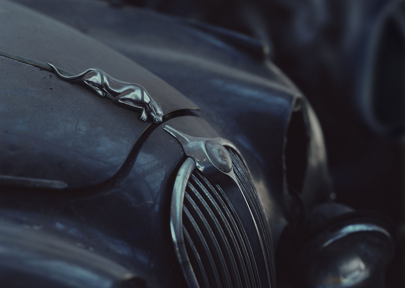 Thumbnail of Jag Eddy Koning