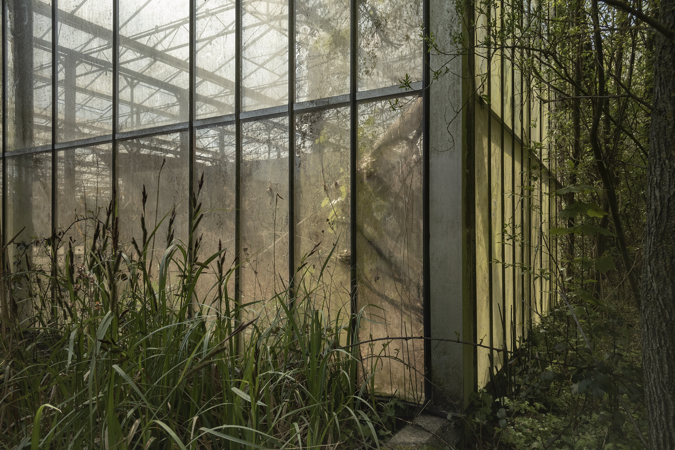 Thumbnail of greenhouse