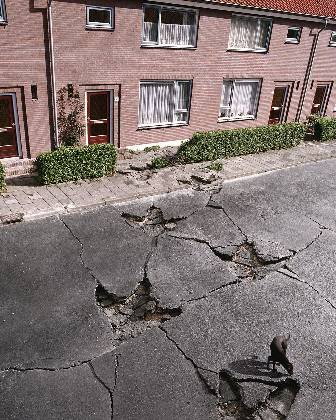 Thumbnail of Godzilla Etcetera Mr Zapp