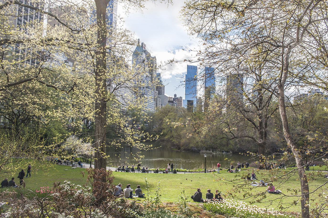 Thumbnail of Spring Park