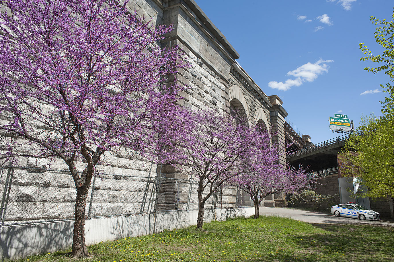 Thumbnail of Metro police