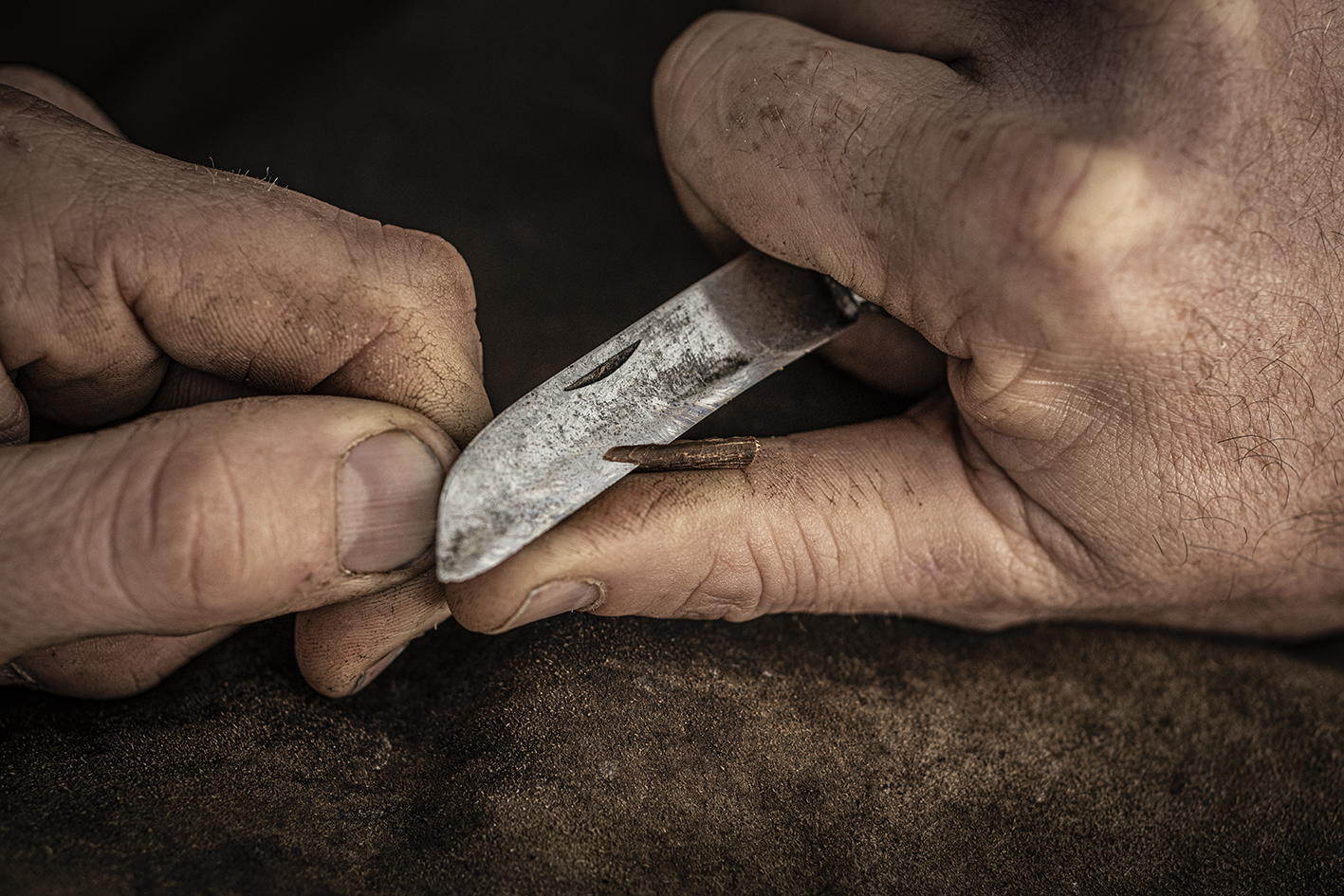 Thumbnail of Grafting2 BoomkwekerijSchalk