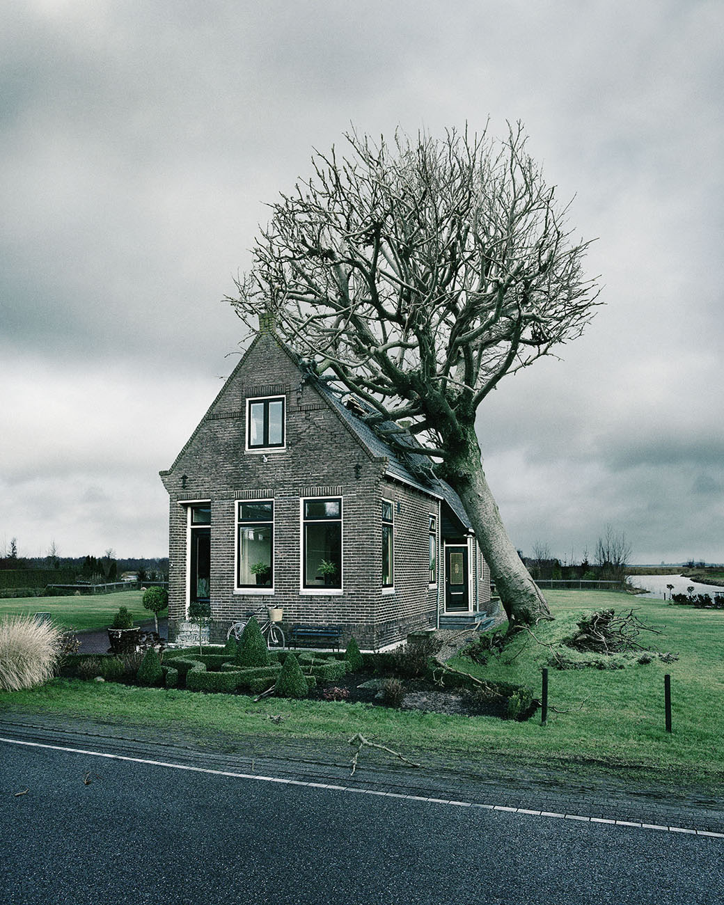 Thumbnail of Tree house DDB Achmea