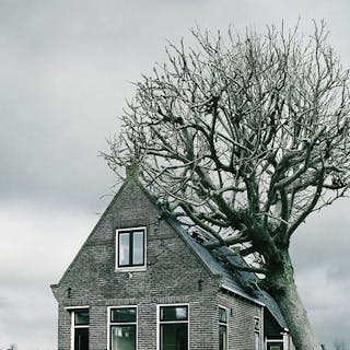 Thumbnail of Tree house DDB Achmea