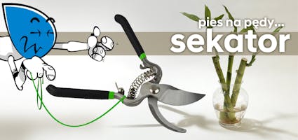Sekatory