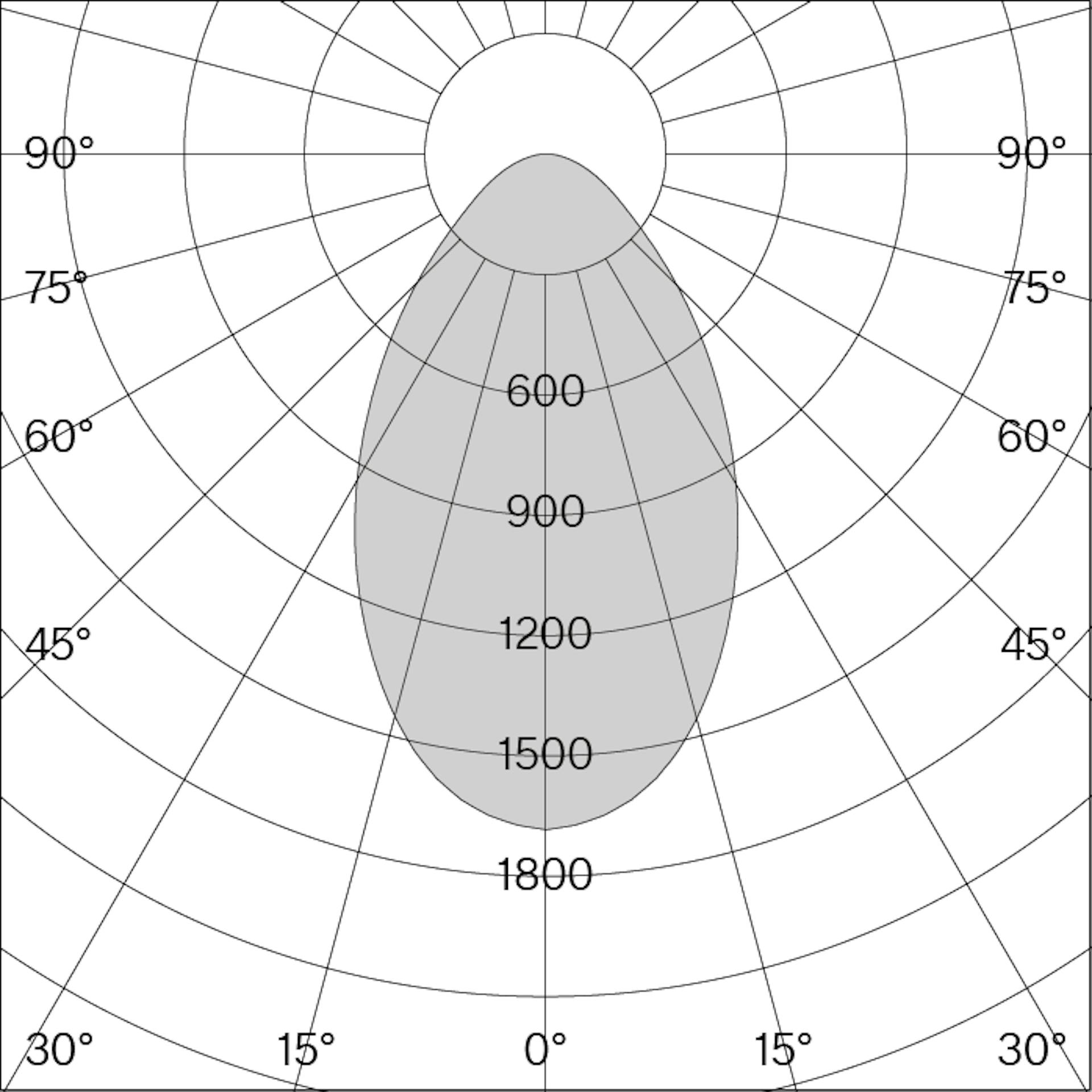 w151 Extra Large Pendant S1