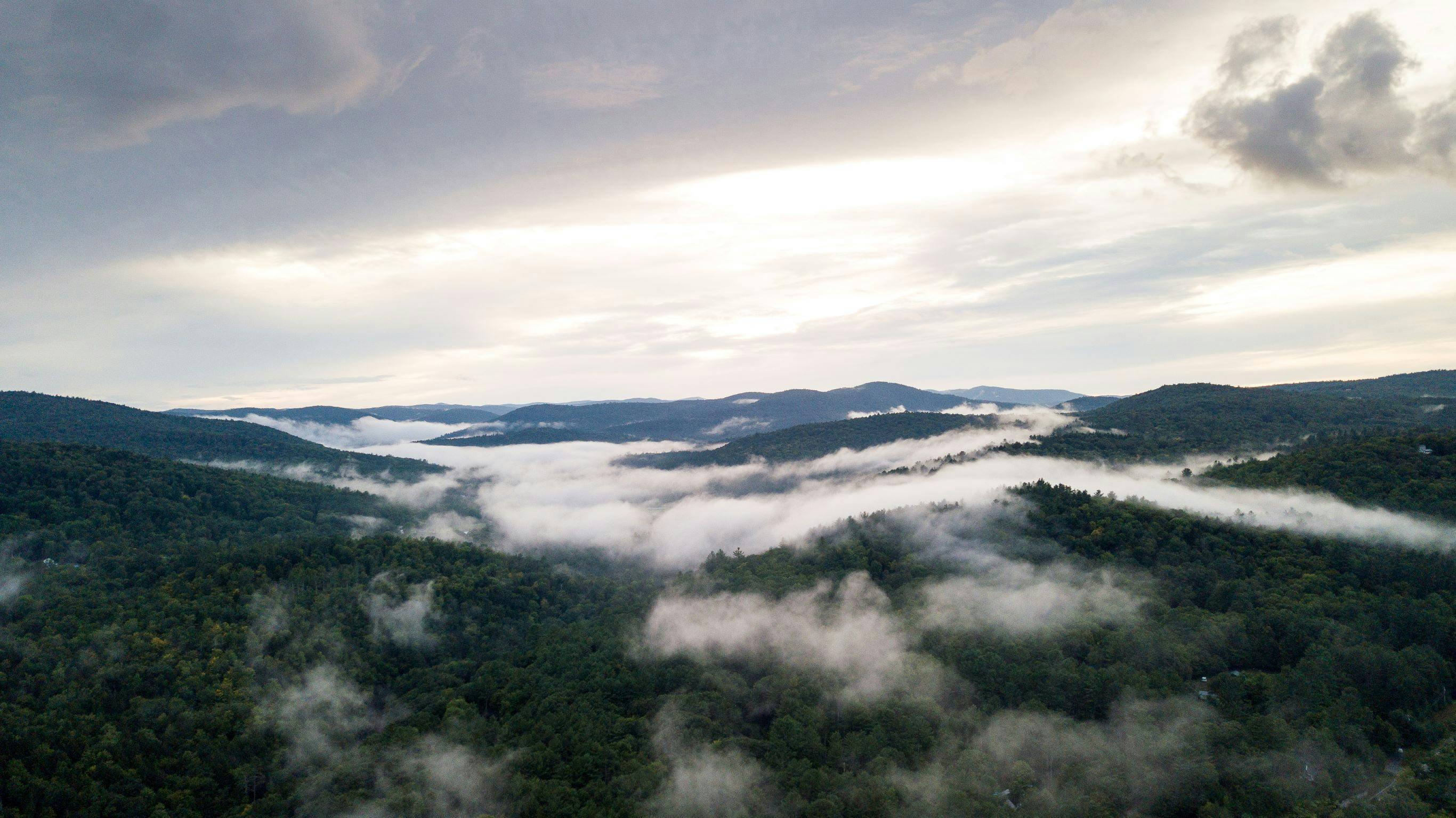 Mist rolls along a mountain forest canopy