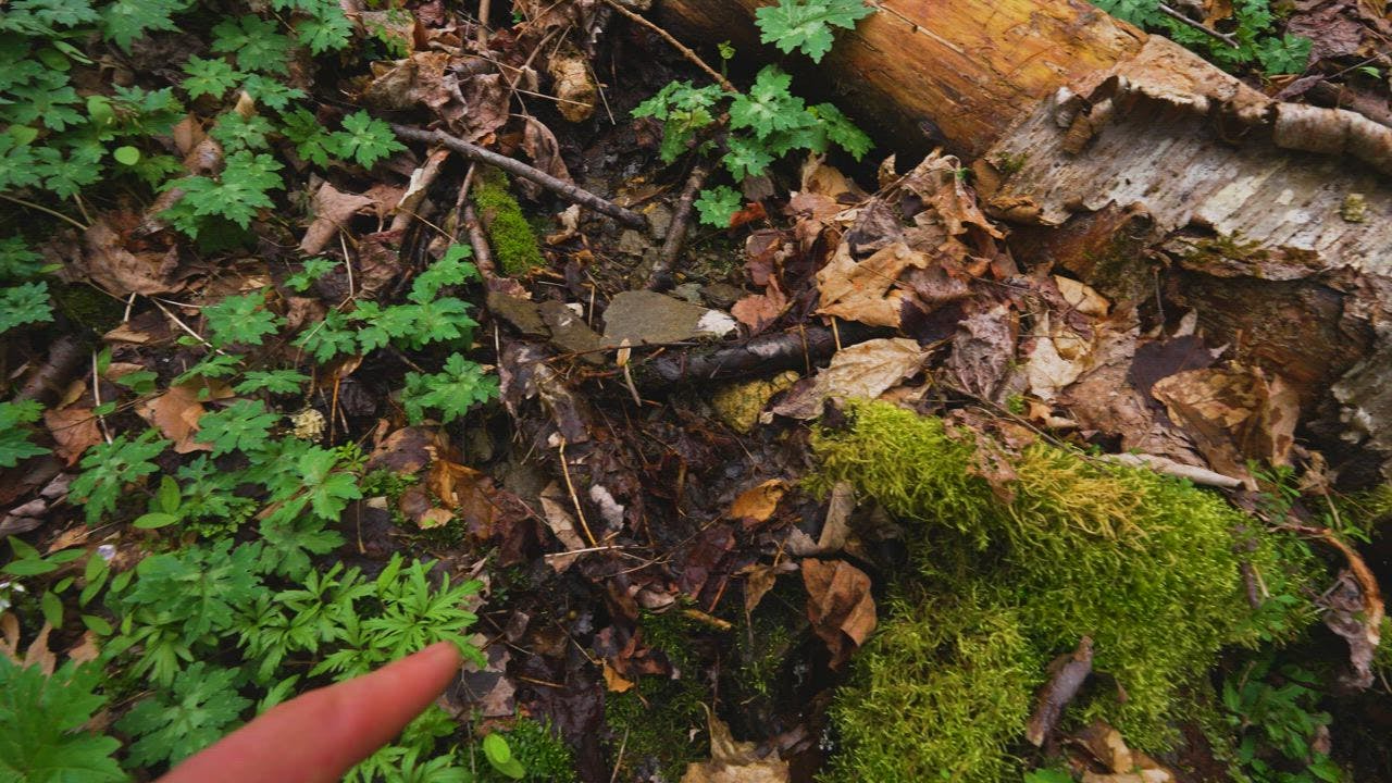 Reading Land Examples