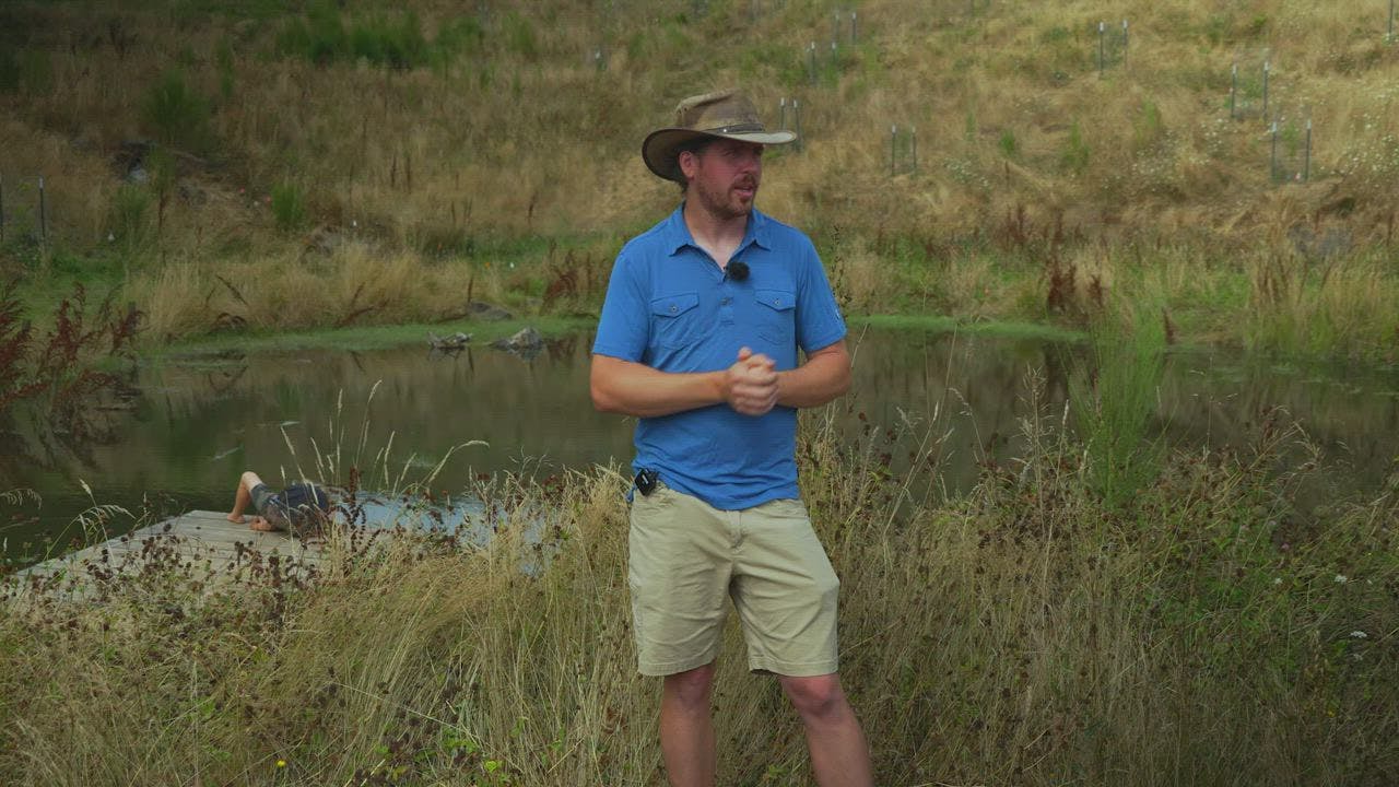 Detailed Project Tour - 6 Pond System with Terraces