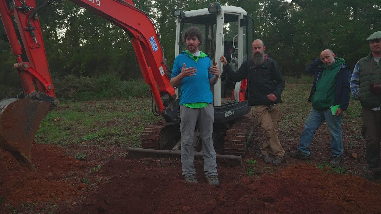 Consultation Walk-Through