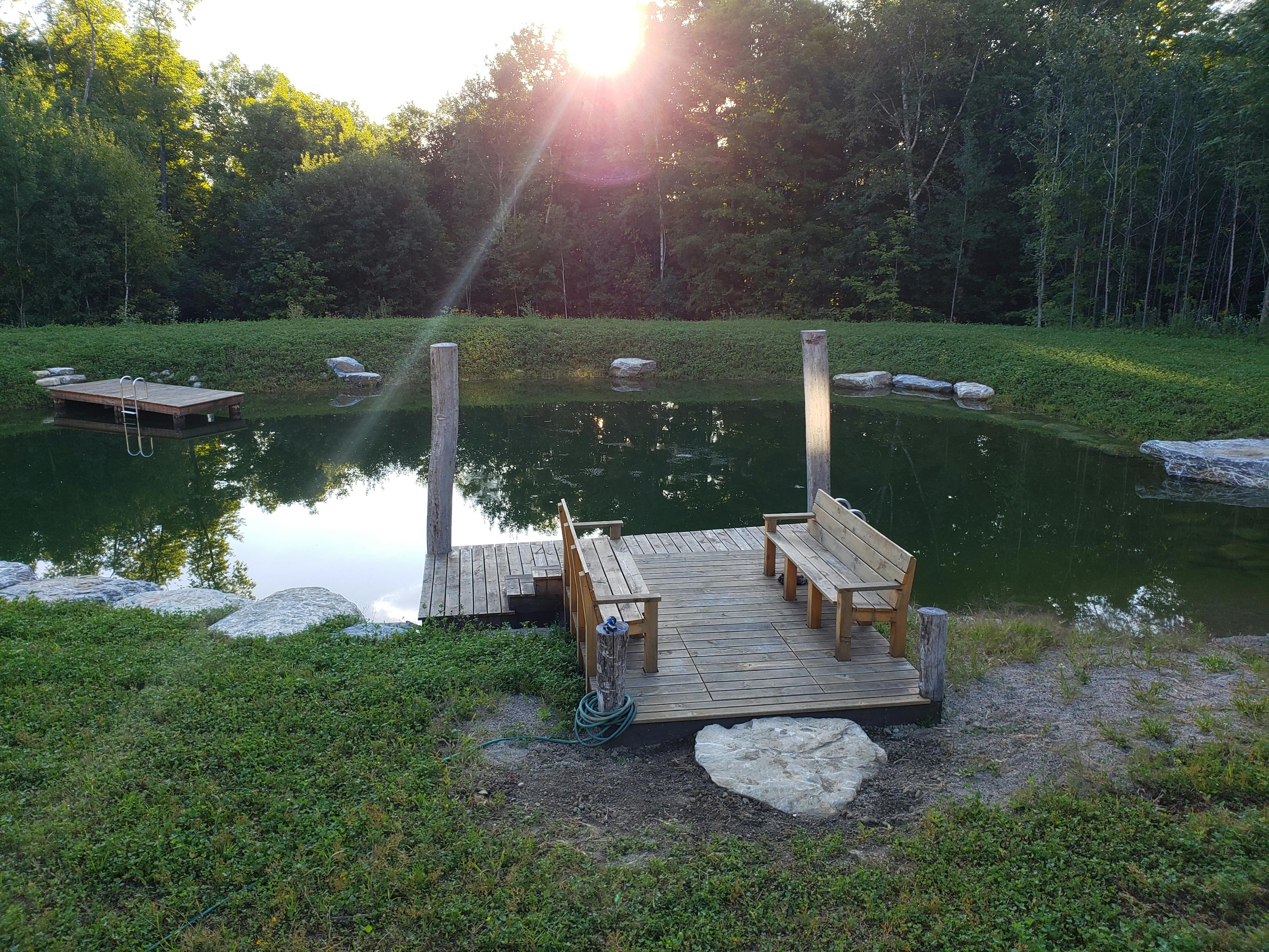 A small dock sits at the edge of a natural pond feature