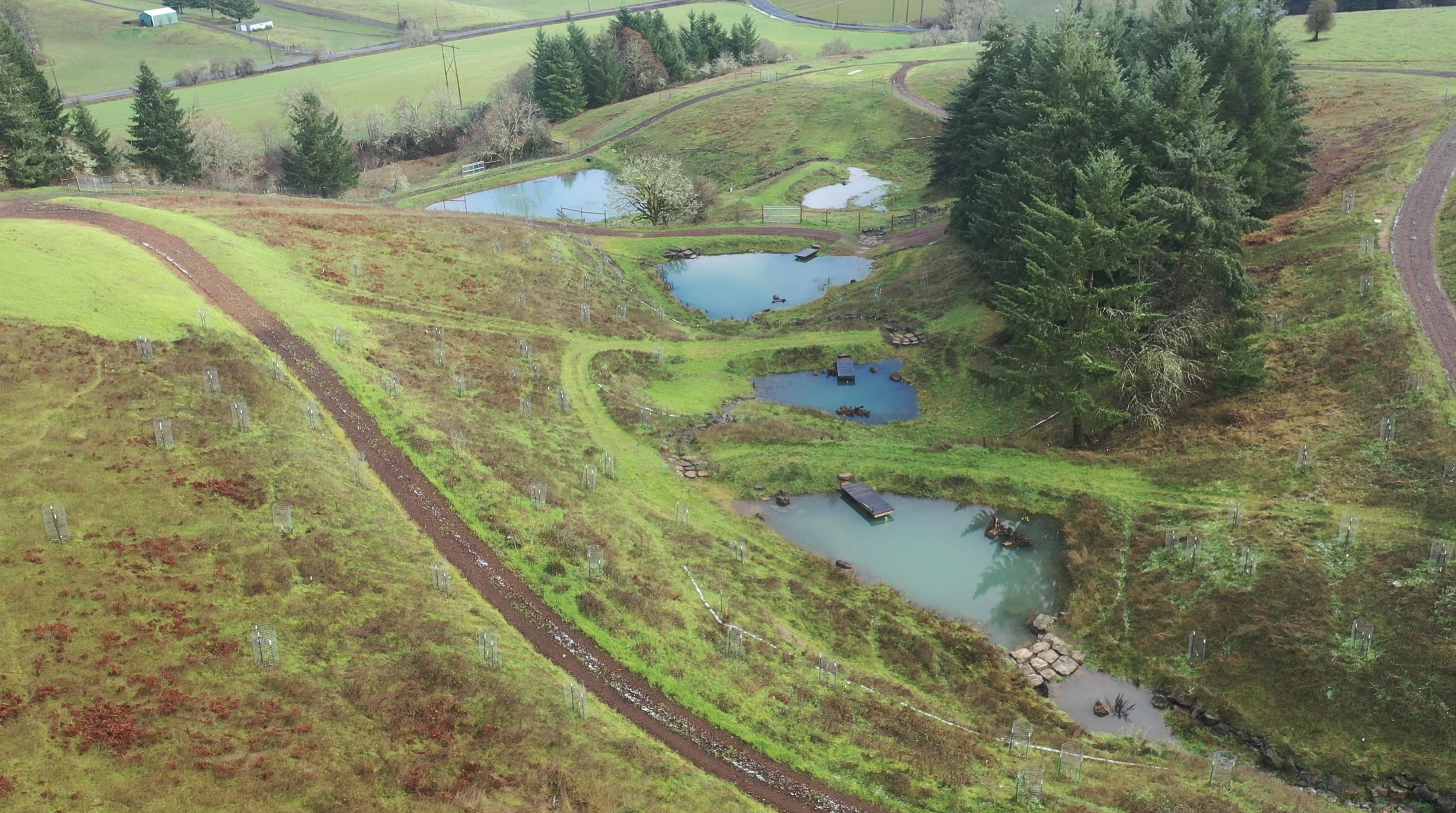 Aerial view of interconnected ponds at Tabula Rasa