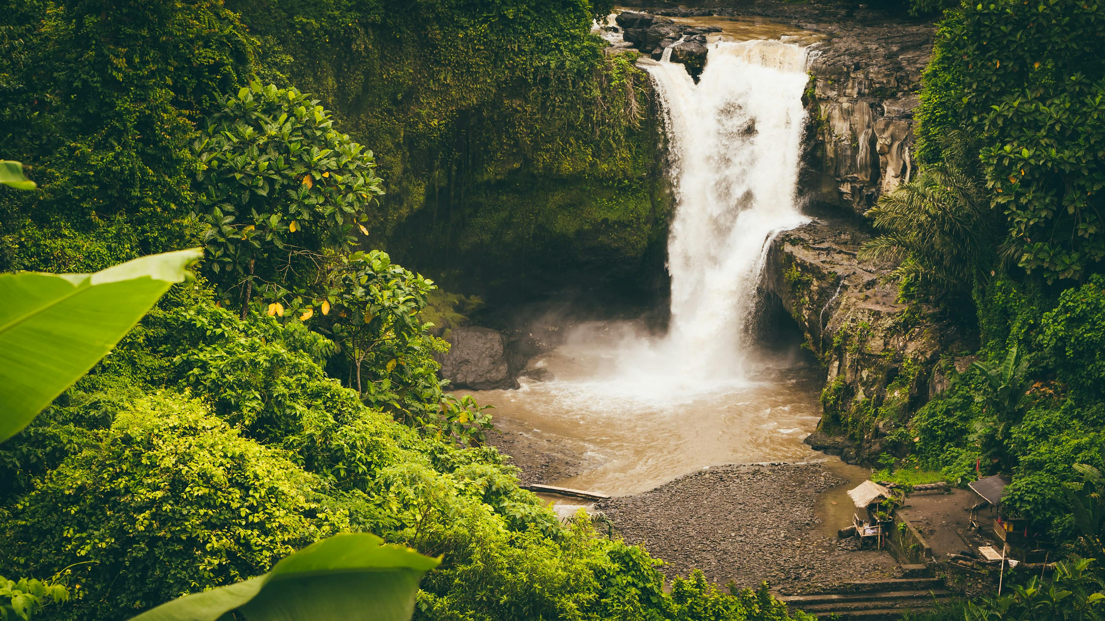 A tropical waterfall