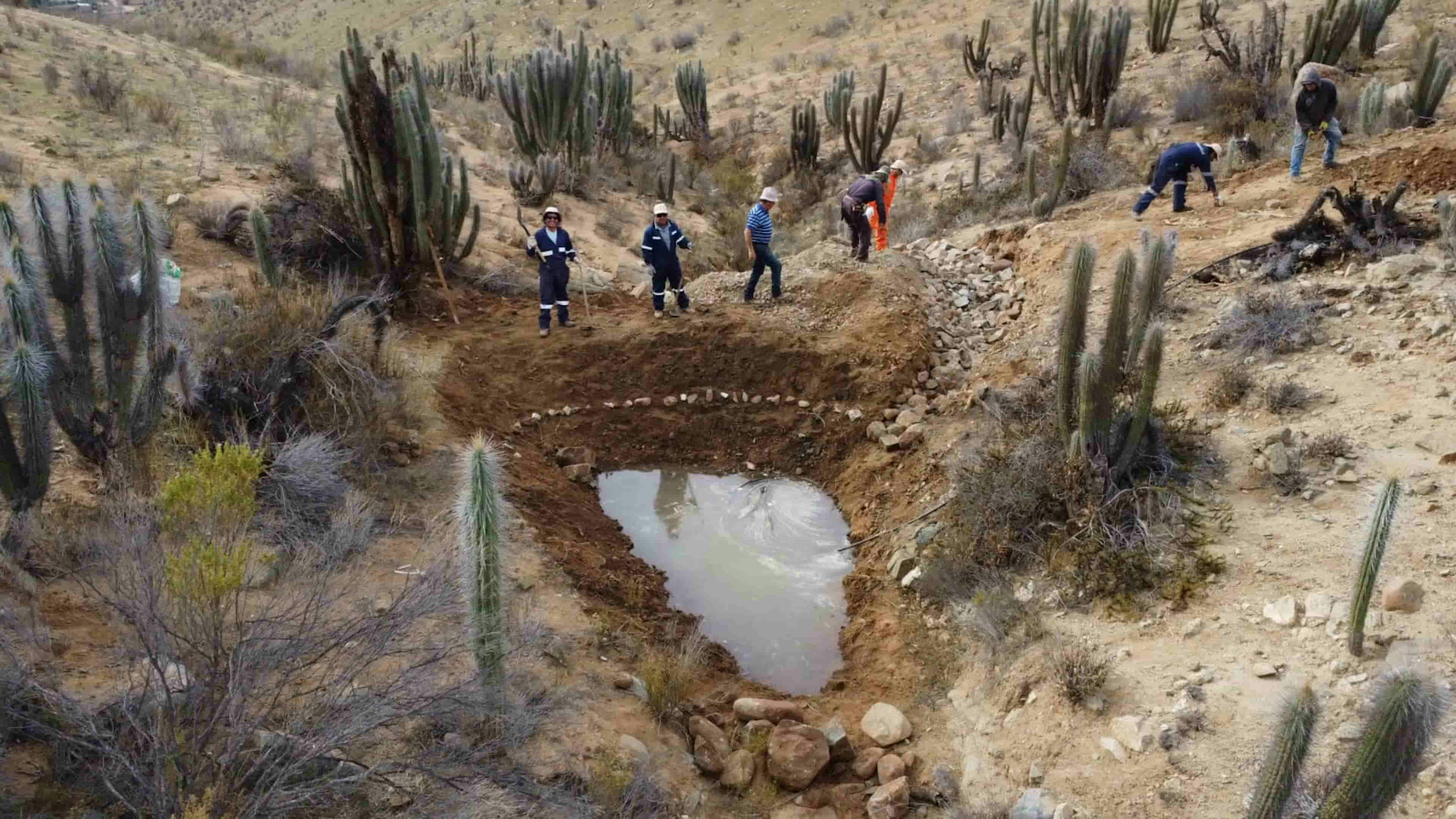 Students working on a water cycle restoration project in the desert