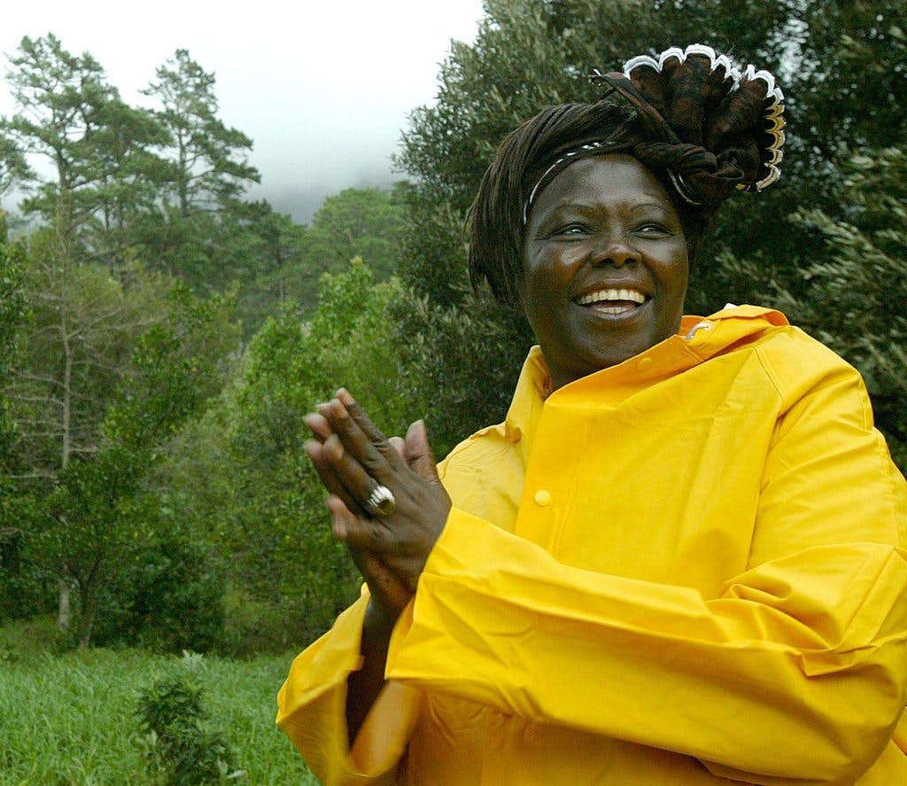 Waangari Maathai smiling and clapping with happiness with verdant trees in the background