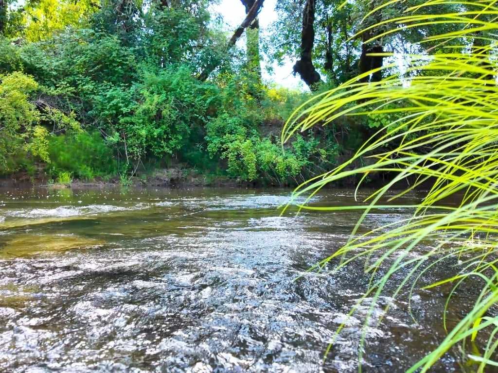 Small section of a river view through a bright green clump of grass in the foreground