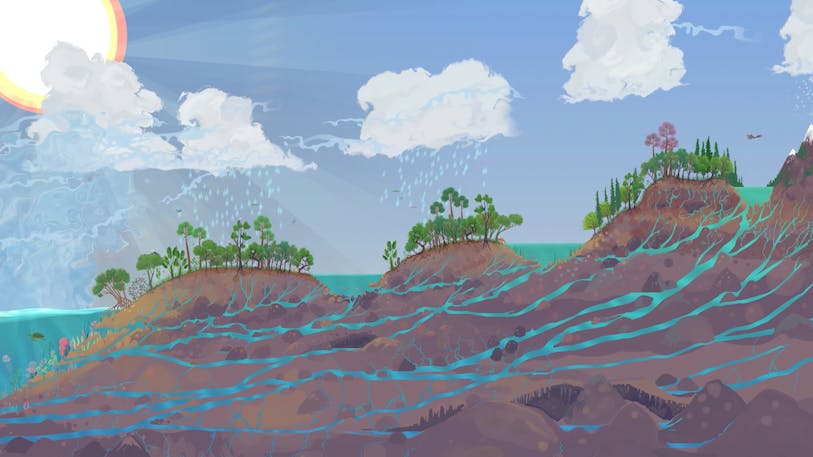 Illustration from the Water Stories animation, "The Full Water Cycle" showing water infiltrating into the ground throughout the waterdshed
