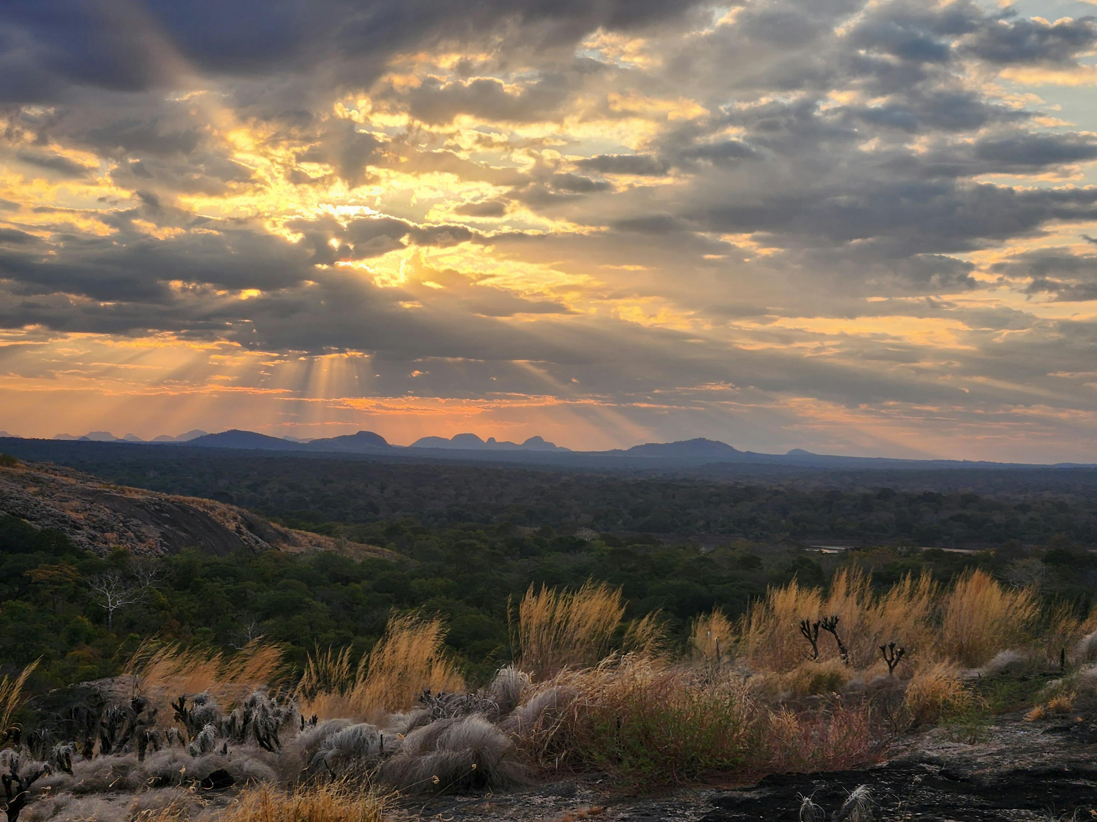 Sunset over scrubland vista bathed in light in Mozambique