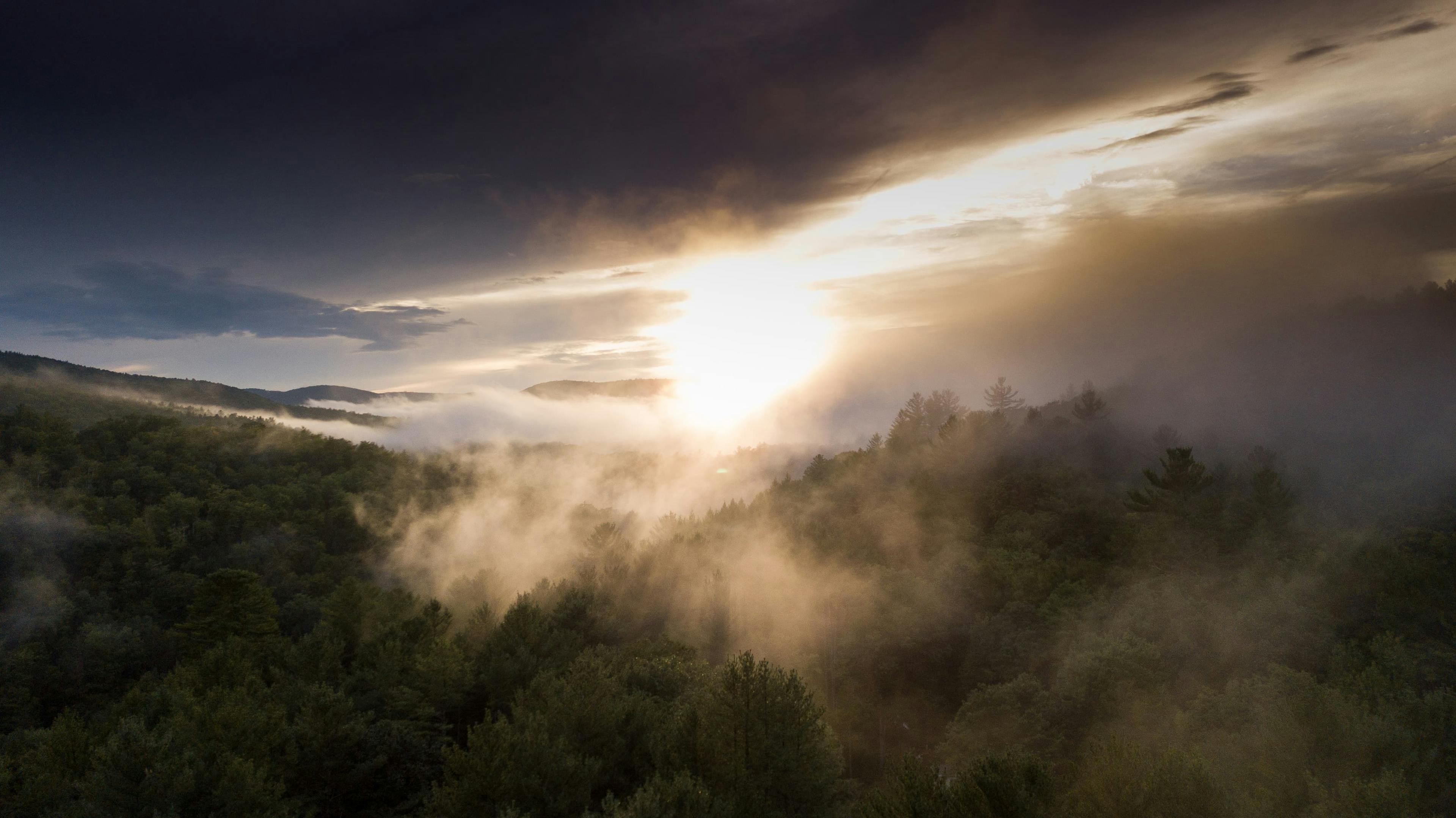 Foggy mist rolls across a mountain forest as the sun sets on the horizon