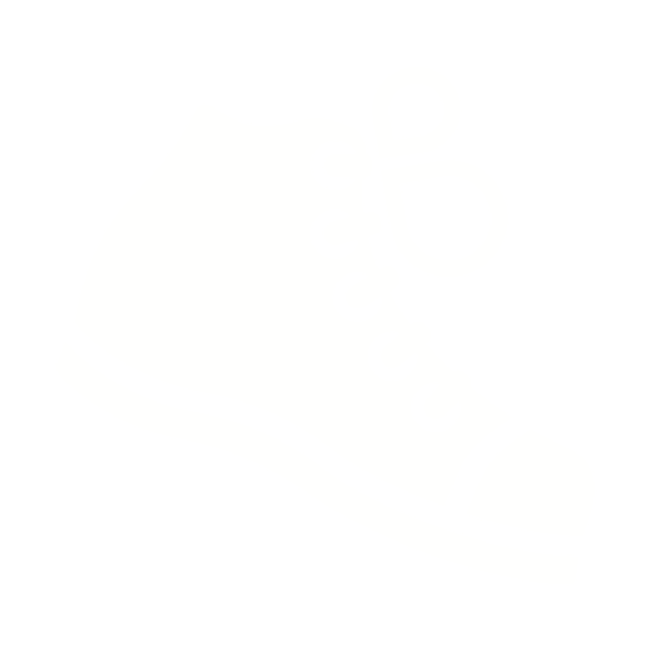 Icon on shoe