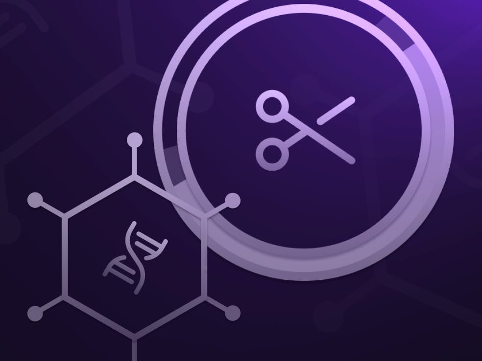 Blog FeatureImage Transposons