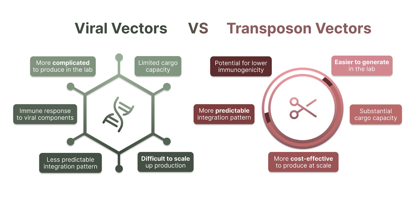 viral vs transposon vectors