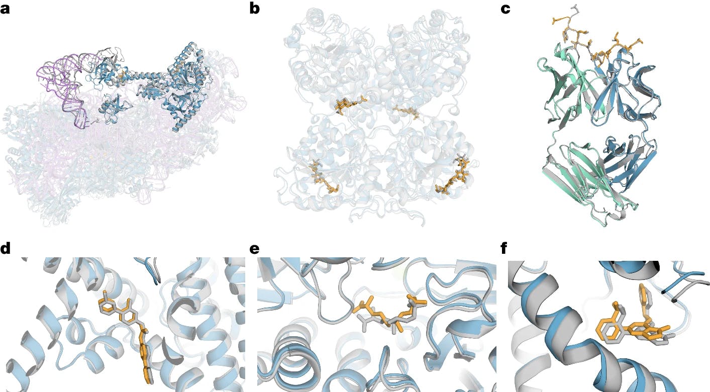 AlphaFold3-predicted structure examples