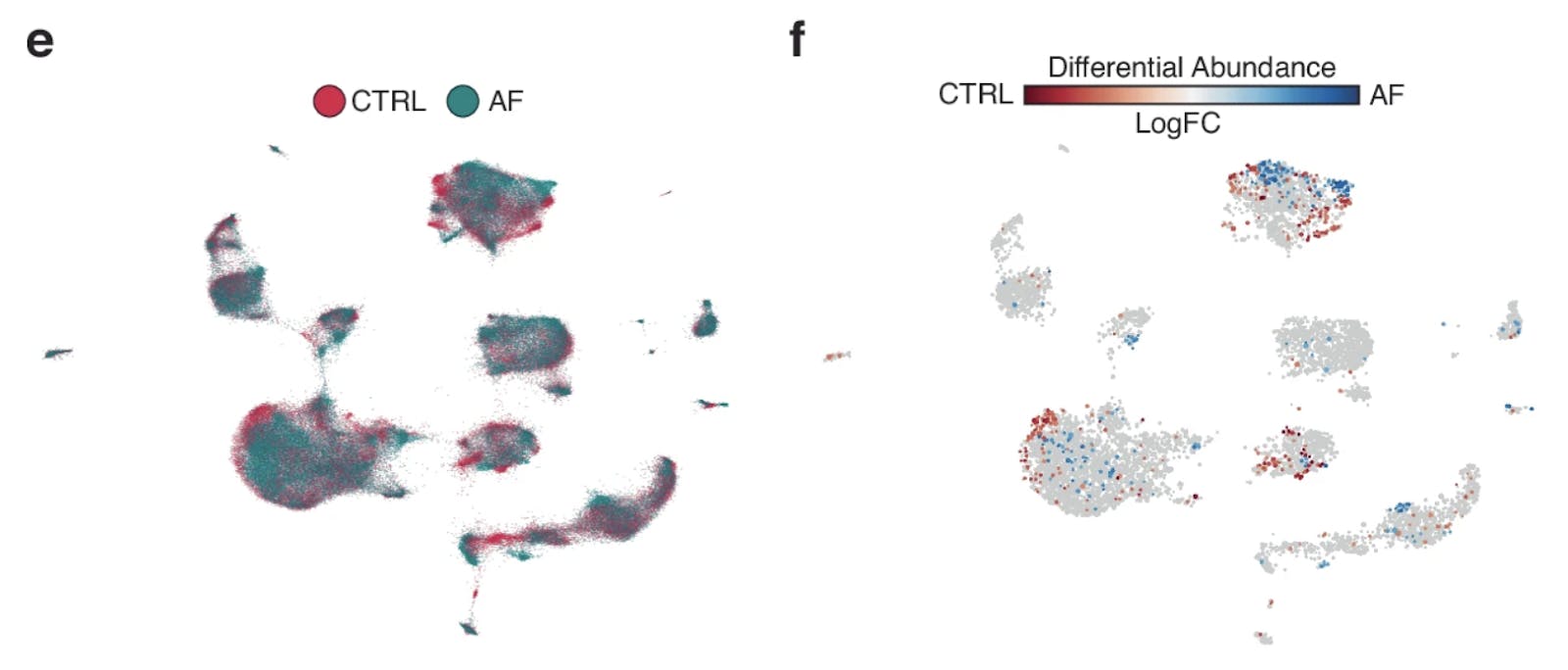 Transcriptional differences in cell populations