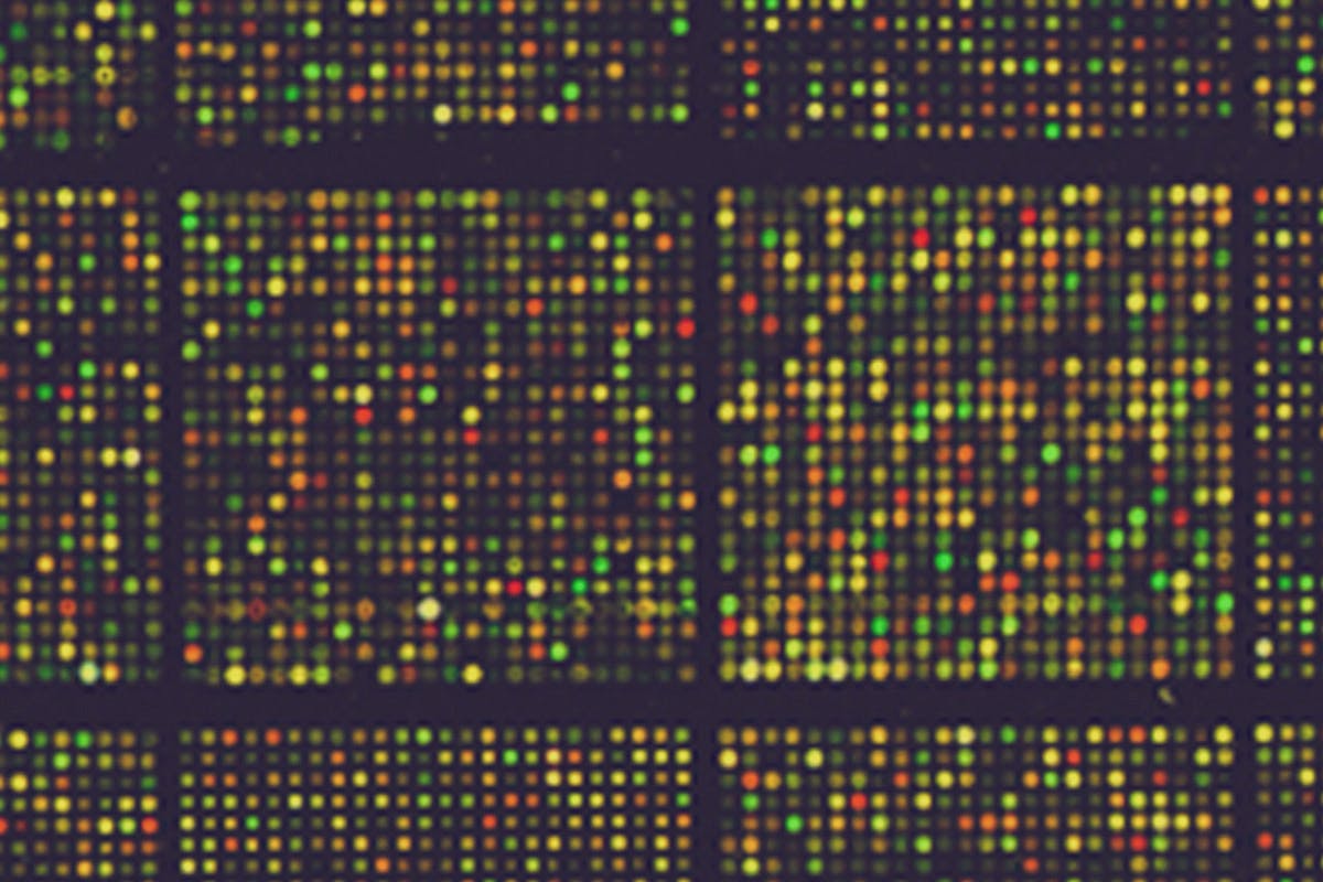 Variant Calling Graph