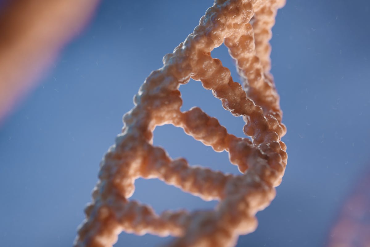 ChIP-Seq Graph