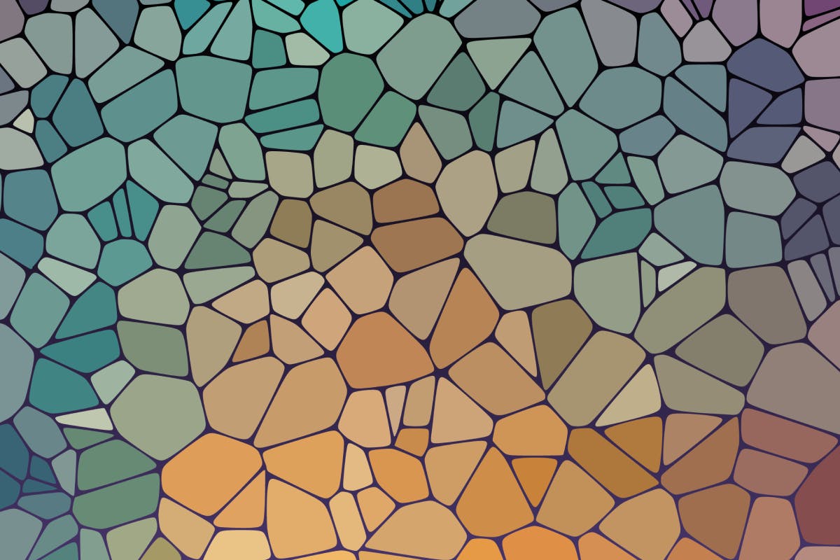 Cell Segmentation Graph