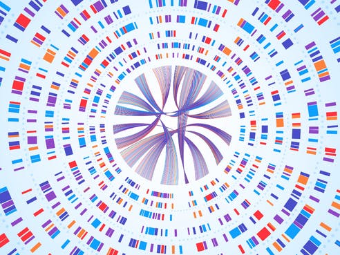 Photo of a genome map