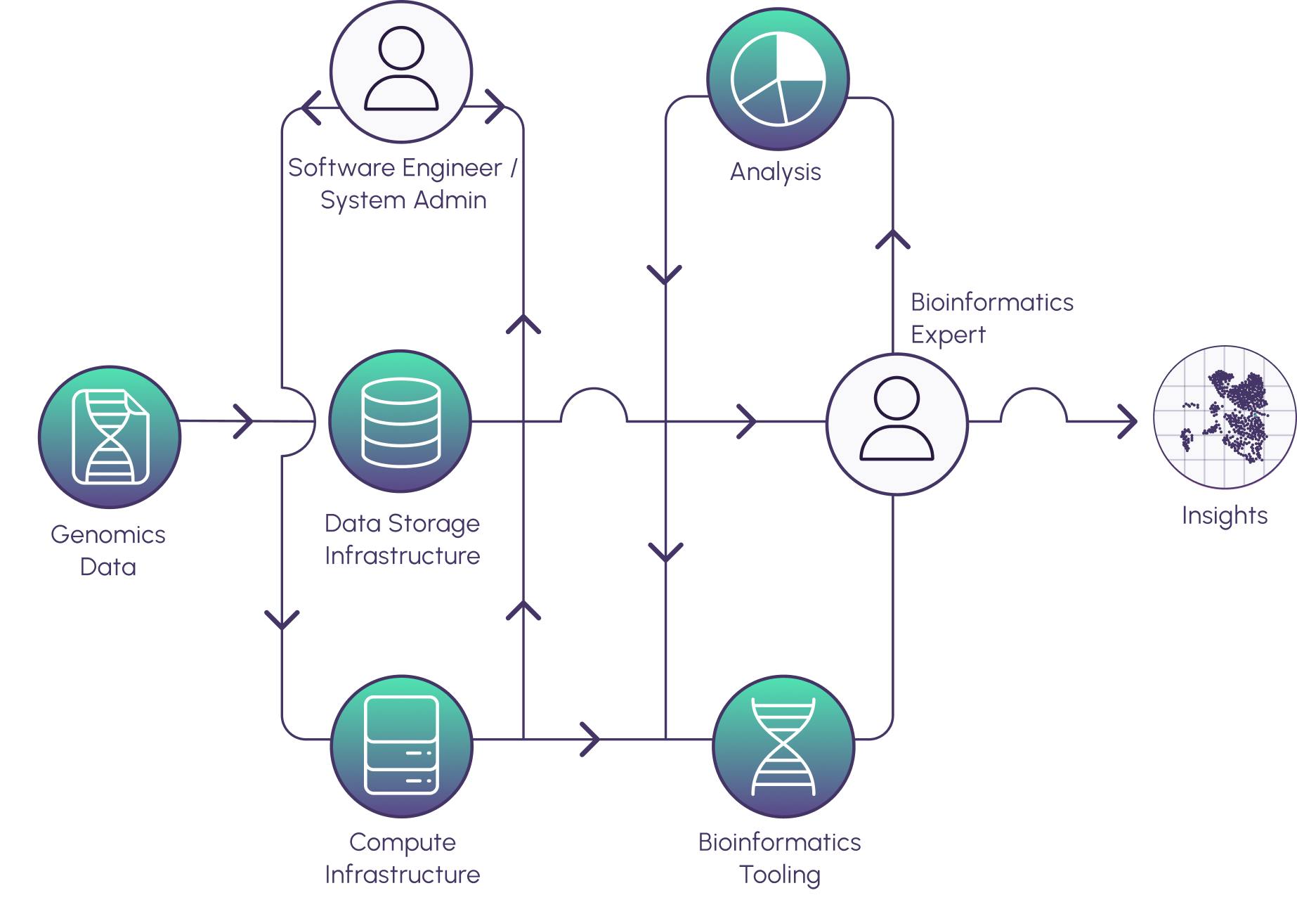 Watershed insight pipeline