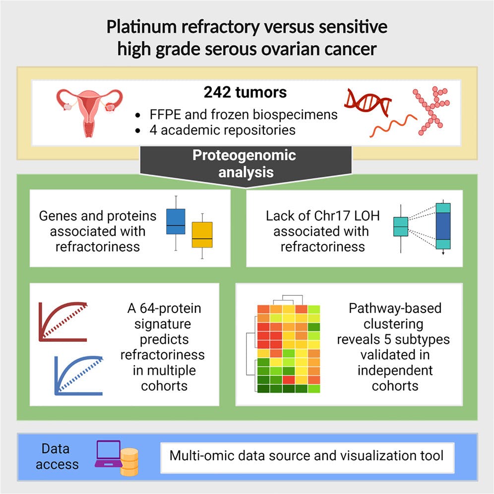 Graphical abstract of Chowdhury et al