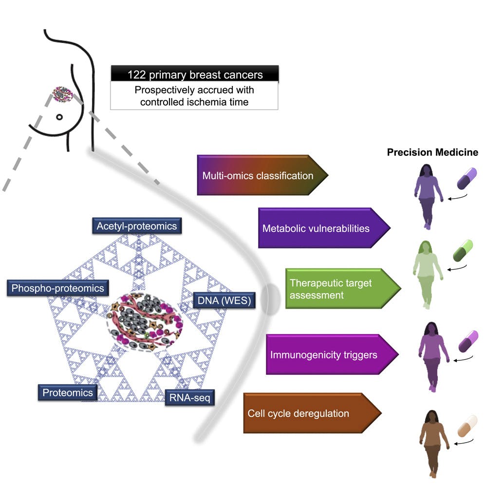 Graphical abstract of Krug et al