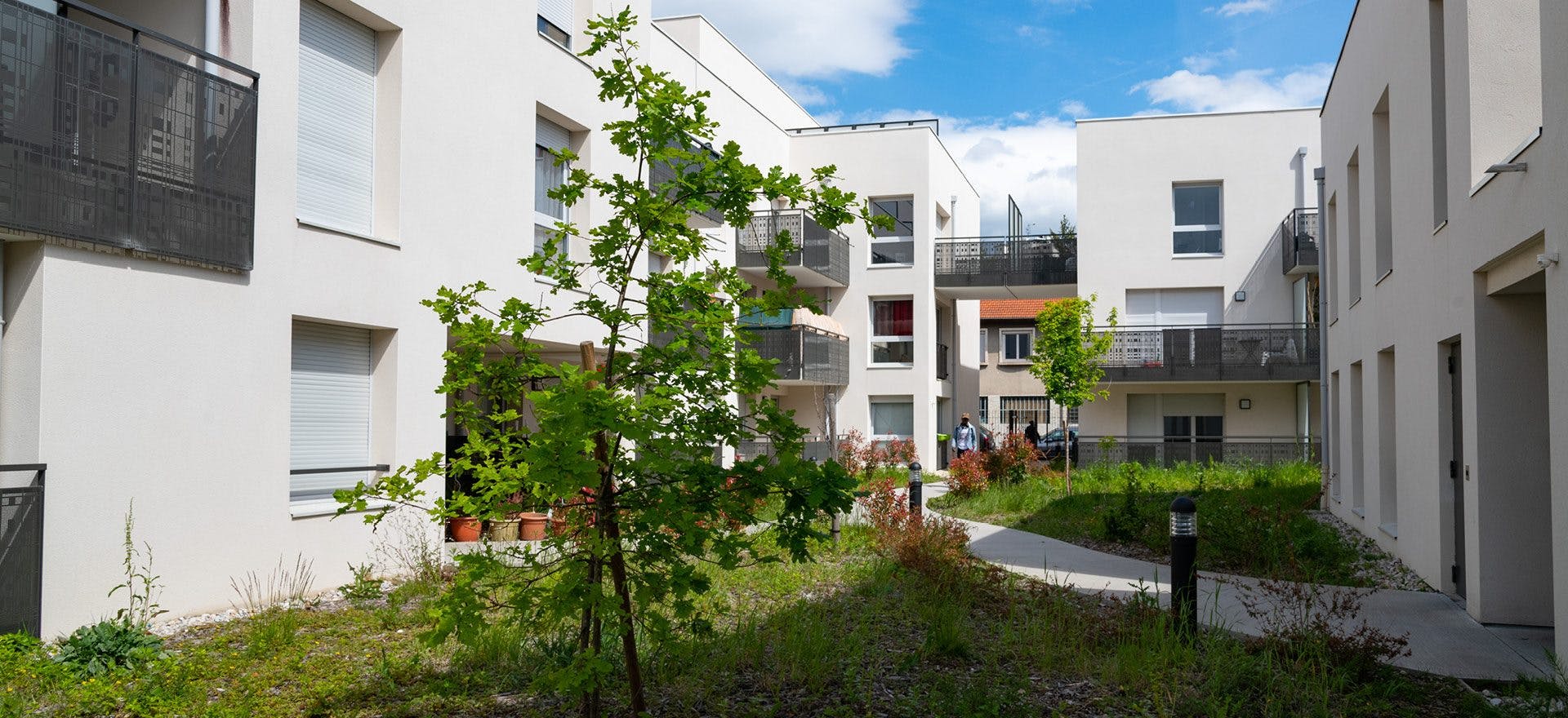 Lyon Métropole Habitat improves the energy performance of its buildings thanks to TEEO and Wattsense