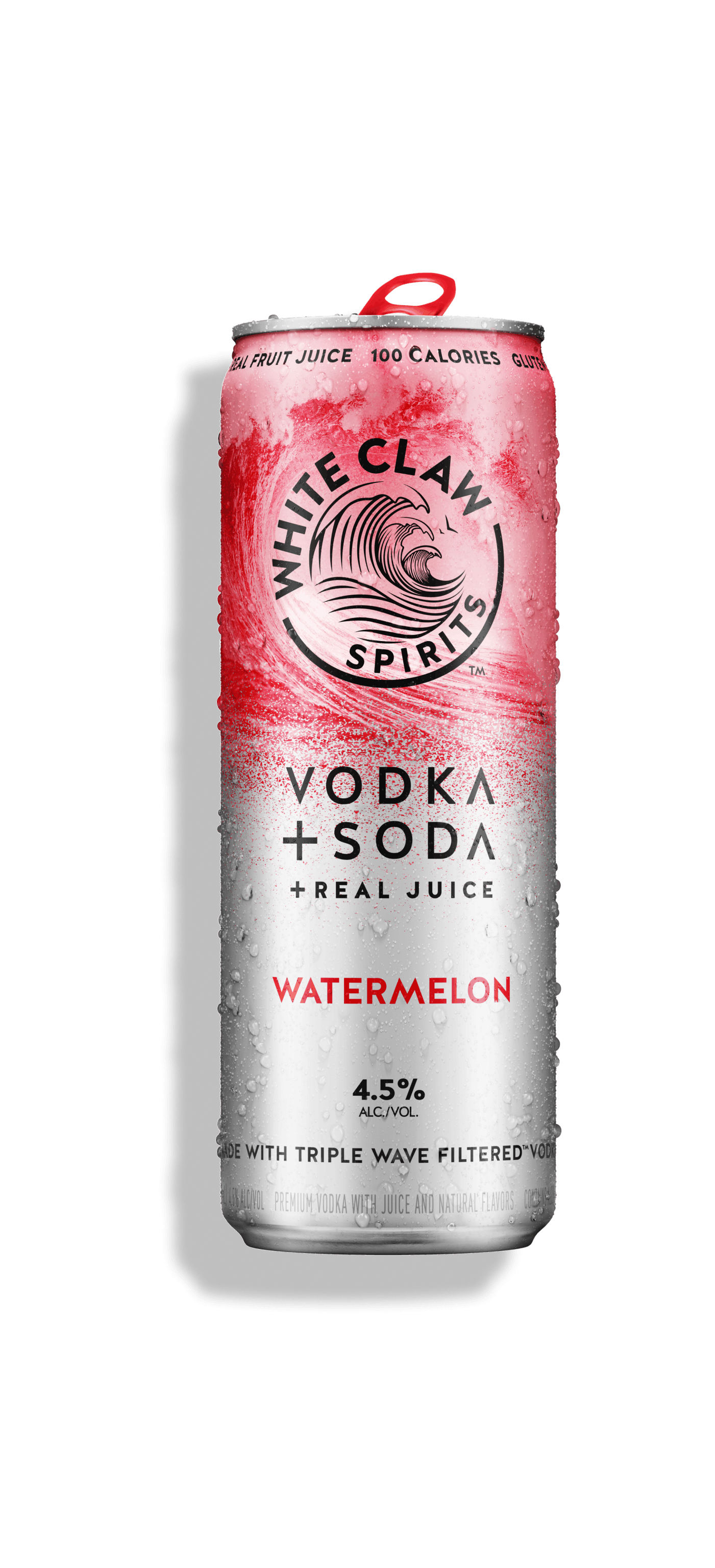 Una lata de White Claw™ Vodka + Soda Sandía descansa sobre unas rocas frente al mar.