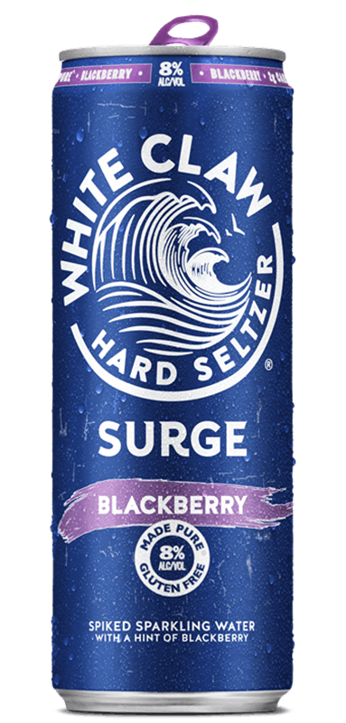 A can of White Claw® Surge Blackberry sits on rocks in front of the sea.