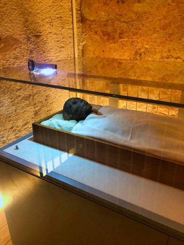 King Tut, himself
