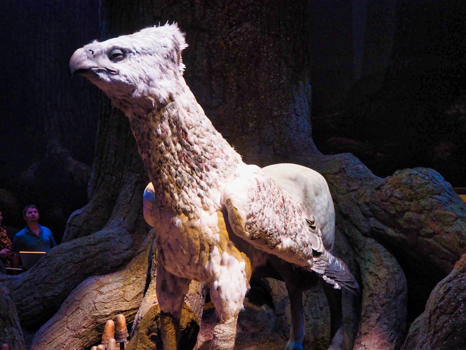 Buckbeak!