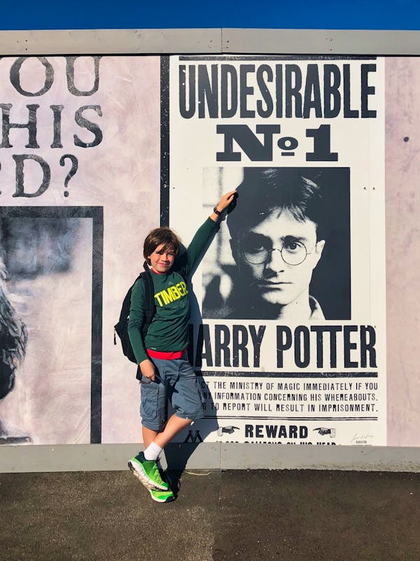 Harry meets Harry