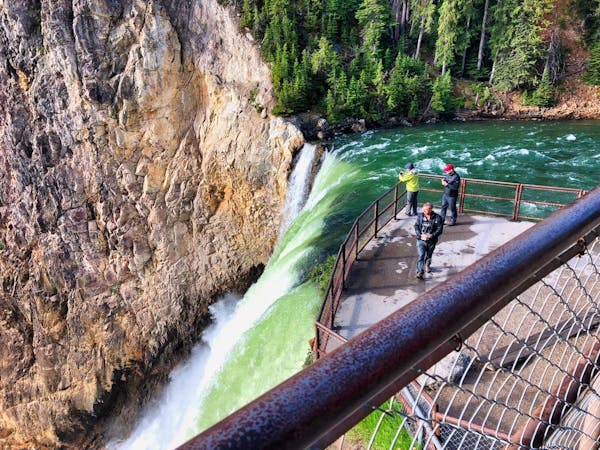 Crest of Yellowstone Falls
