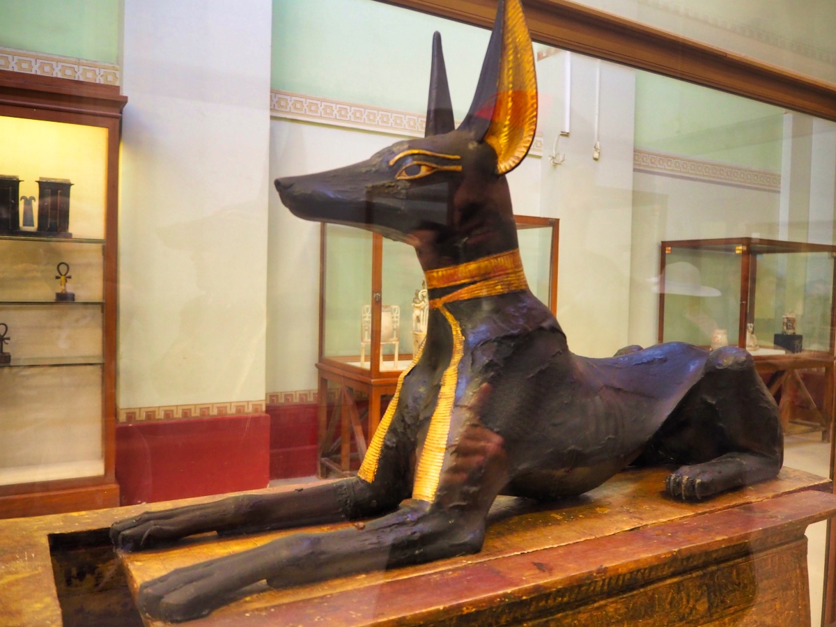 Statue of Anubis found in King Tut's tomb