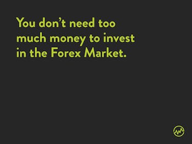 Forex for beginners: you don't need too much money to invest in the forex market