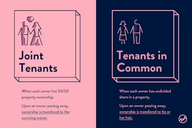 Buying a house with a friend: The difference between joint tenants and tenants in common graphic