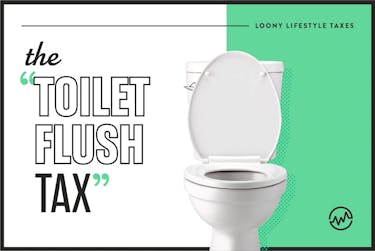 ridiculous taxes in the United States - the toilet flush tax