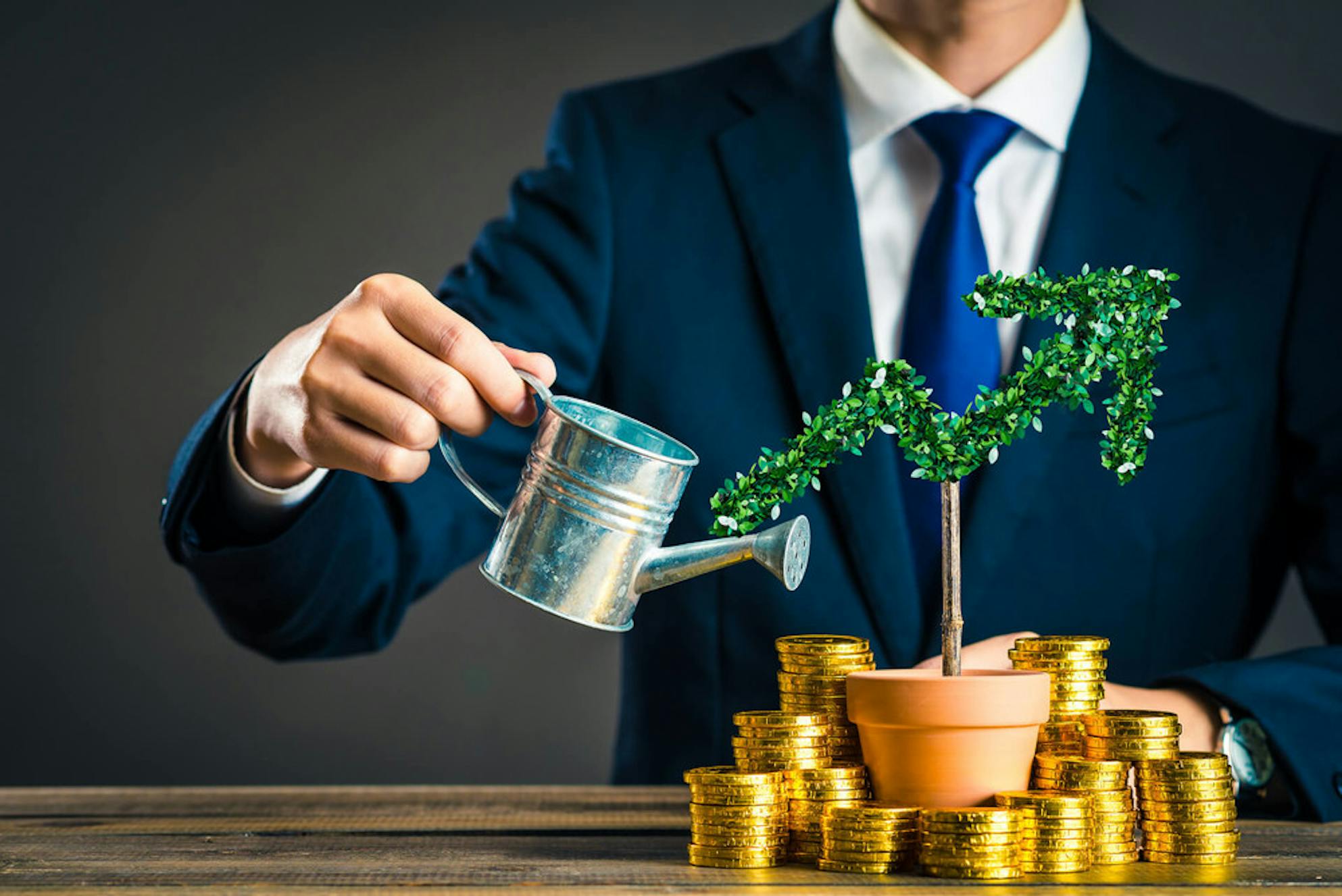 Tree with coins demonstrate that investing is part of the wealth mindset