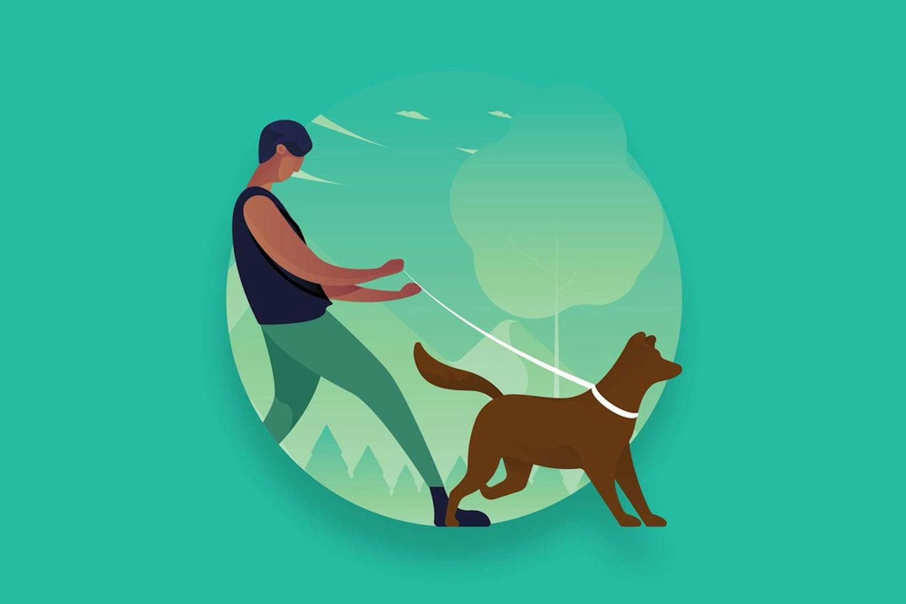 Making an extra income by walking dogs