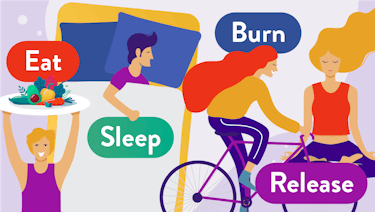Four Pillars of Health: eat, sleep, burn, release