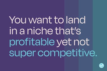 You want to land in a niche that’s profitable yet not super competitive. 